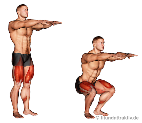 Ganzkörpertraining ohne Geräte PDF: Bild von der Übung Kniebeugen.