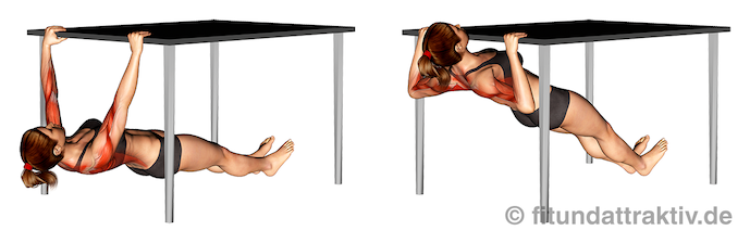 Ganzkörpertraining ohne Geräte PDF: Bild von der Übung Rudern unter dem Tisch.