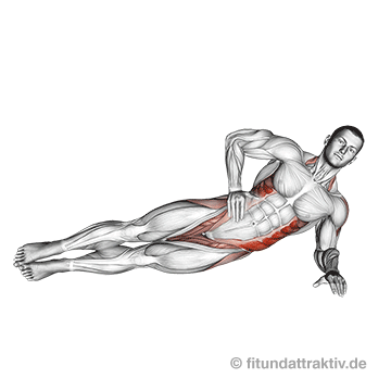Ganzkörpertraining ohne Geräte PDF: GIF von der Übung seitlicher Unterarmstütz.