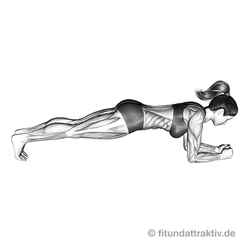 Ganzkörpertraining ohne Geräte PDF: GIF von der Übung Unterarmstütz.