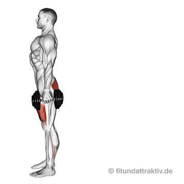 Gesäßmuskel trainieren Senioren: GIF von der Übung Kurzhantel Ausfallschritte nach hinten.