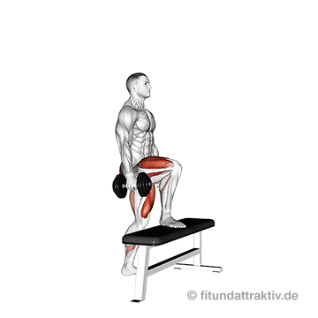 Gluteus maximus trainieren zuhause: GIF von der Übung Aufsteiger mit Kurzhantel.