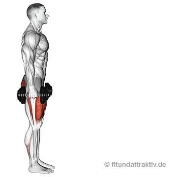 Gluteus maximus trainieren zuhause: GIF von der Übung Ausfallschritt mit Kurzhanteln nach vorne.