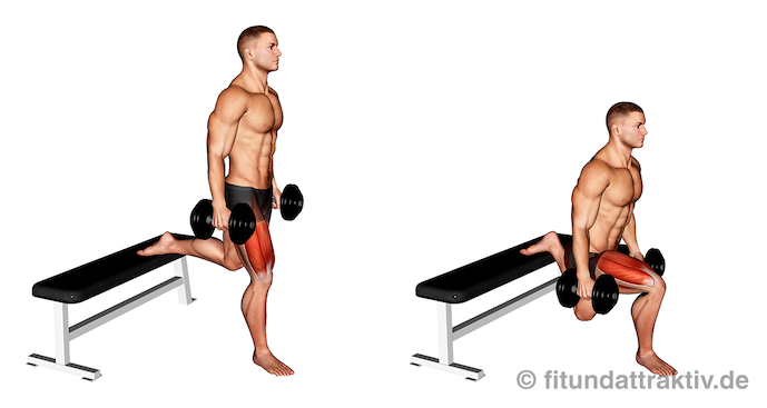 Gluteus maximus trainieren zuhause: Bild von der Übung einbeinige Kniebeugen mit Kurzhanteln.