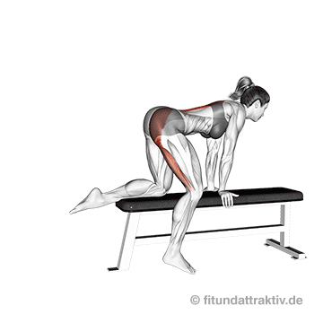 Gluteus maximus trainieren zuhause: GIF von der Übung gestrecktes Beinheben.