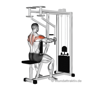 Hintere Schulter trainieren Butterfly Reverse: GIF von der Übung am Butterfly Reverse Gerät.