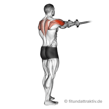 Hintere Schulter trainieren Butterfly Reverse: GIF von der Übung Butterfly Reverse Kabelzug stehend.