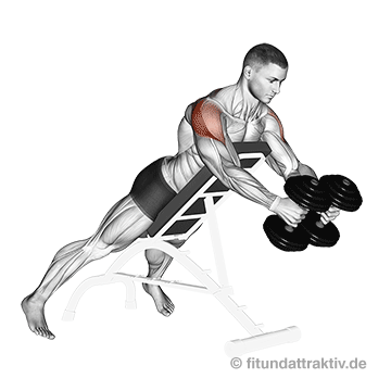 Hintere Schulter trainieren Butterfly Reverse: GIF von der Übung Butterfly Reverse Kurzhantel Schrägbank.