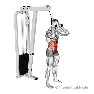 Kabelzug Fitness: GIF von der Übung Crunches am Kabelzug.