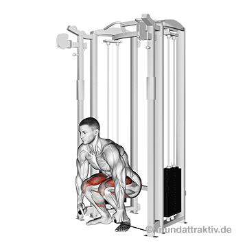 Kabelzug Fitness: GIF von der Übung Kreuzheben am Kabelzug.