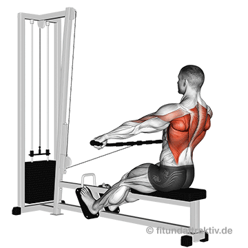 Kabelzug Fitness: GIF von der Übung Rudern am Kabelzug.