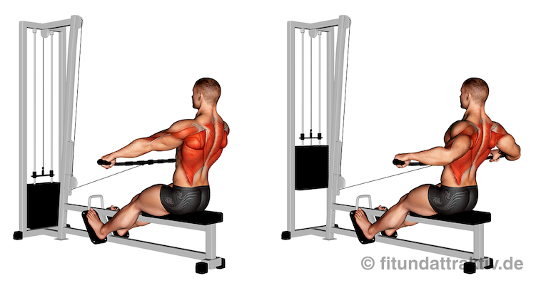 Kabelzug Fitness: Bild von der Übung Rudern am Kabelzug.