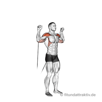 Kabelzug Fitness: GIF von der Schulter Übung Schulterdrücken am Kabelzug.