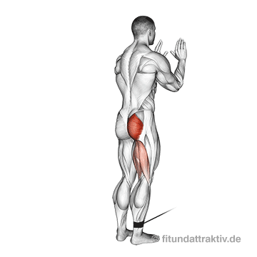 Kabelzug Trainingsplan: GIF von der Beine Po Übung Beinheben am Kabelzug.