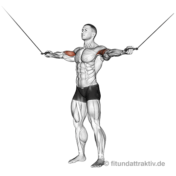 Kabelzug Trainingsplan: GIF von der Bizeps Übung Kabelcurls hoher Block.