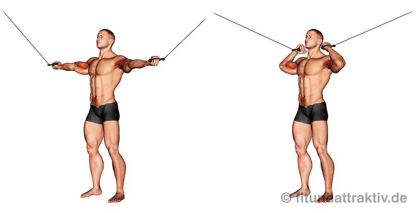 Kabelzug Trainingsplan: Bild von der Bizeps Übung Kabelcurls hoher Block.
