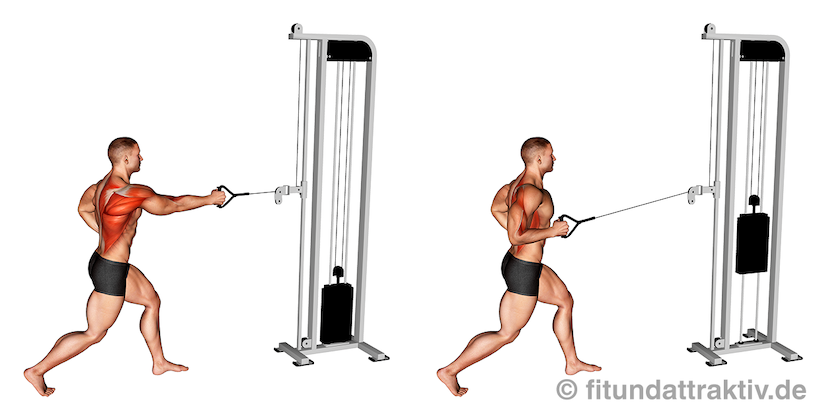 Kabelzug Trainingsplan: Bild von der Latissimus Übung Rudern am Kabelzug einarmig.