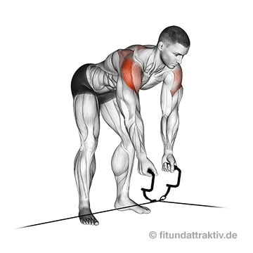 GIF von der Übung Kabelzug überkreuz vorgebeugtes Seitheben.