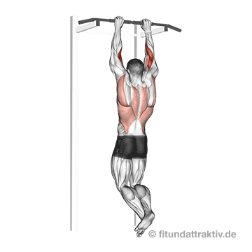 Klimmzüge Varianten Muskelgruppen: GIF von der Übung enge Klimmzüge Obergriff.