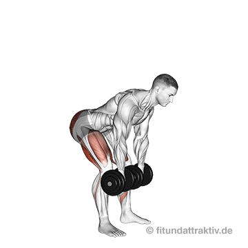 Kreuzheben mit Kurzhanteln welche Muskeln: GIF von der Übung rumänisches Kreuzheben mit Kurzhanteln.