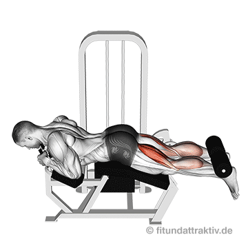 Oberschenkelrückseite trainieren Maschine: GIF von der Übung Beinbizeps Maschine liegend.