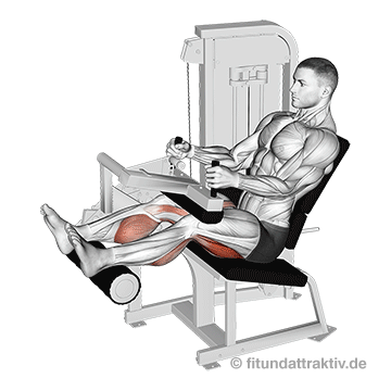 Oberschenkelrückseite trainieren Maschine: GIF von der Übung Beinbizeps Maschine sitzend.
