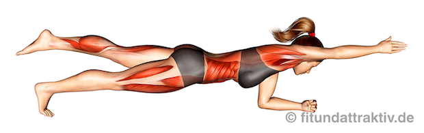 Bild von der Übung Plank mit Arm und Beinheben.