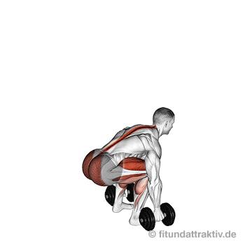 Rückenstrecker Muskel: GIF von der Übung Kreuzheben mit Kurzhanteln.