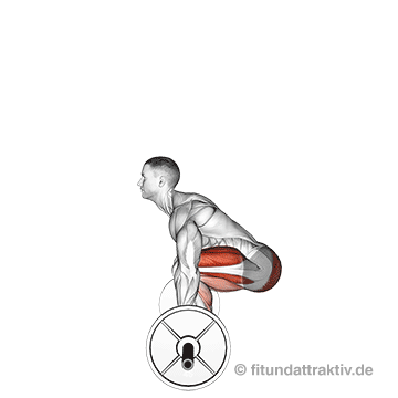 Rückenstrecker Muskel: GIF von der Übung Kreuzheben mit Langhantel.