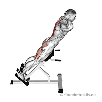 Rückenstrecker Muskel: GIF von der Übung am Rückenstrecker Gerät.