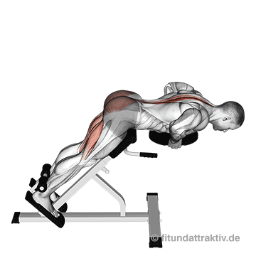 Rückenstrecker Muskel: GIF von der Übung am Rückenstrecker Gerät mit Zusatzgewicht.