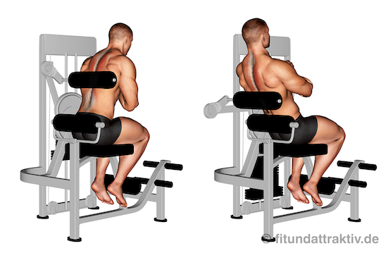 Rückenstrecker Muskel: Bild von der Übung an der Rückenstrecker Maschine.