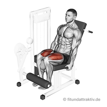 Trainingsplan Beine Geräte: GIF von der Übung an der Beinstrecker Maschine.