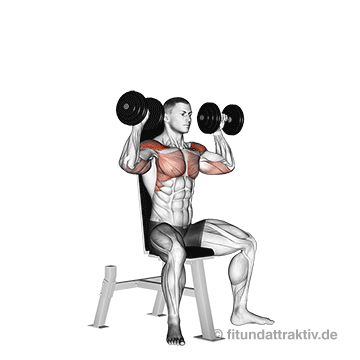 Trainingsplan Kurzhanteln PDF: GIF von der Übung Schulterdrücken sitzend.