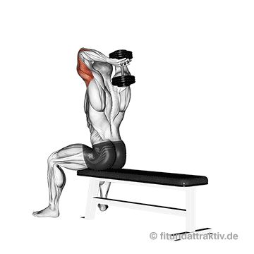 Trainingsplan zuhause Muskelaufbau: GIF von der Übung Trizepsdrücken mit Kurzhantel.
