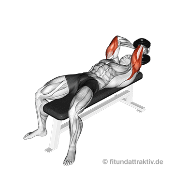 Trizeps trainieren Kurzhantel: GIF von der Übung Stirndrücken beidarmig.