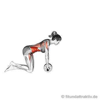 Übungen unterer Bauch Geräte: GIF von der Übung Bauchroller mit Gerät.