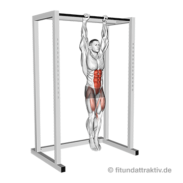 Übungen unterer Bauch Geräte: GIF von der Übung hängendes Beinheben halb hoch.