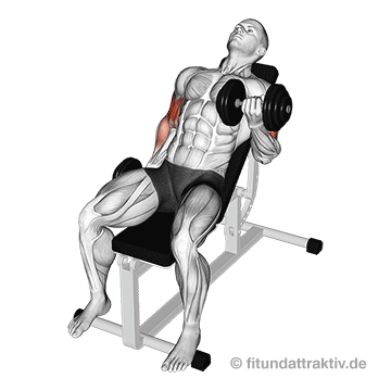 Unterarme trainieren Kurzhantel: GIF von der Übung Bizeps Curls sitzend abwechselnd.
