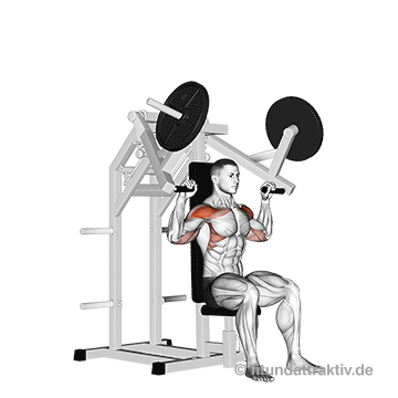 Schulterdrücken Maschine: Die Übung am Trainingsgerät im kontrollierten Bewegungsablauf sorgt für den gezielten Muskelaufbau im Fitnessstudio.