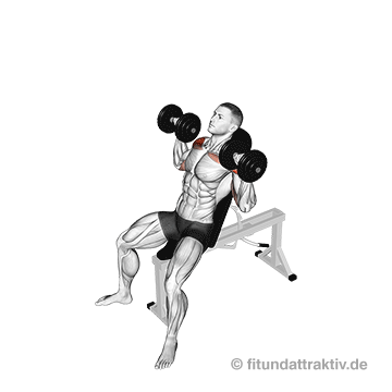 Vordere Deltamuskel Übungen: GIF von der Übung Kurzhantel Schrägbankdrücken mit 60 Grad Steigung.