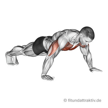Bodyweight Training Brust breite Liegestütze: Saubere und schwungfreie Auf- und Abwärtsbewegung des gesamten Oberkörpers parallel zum Boden zur gleichmäßigen Aktivierung der Fasern.