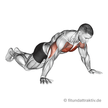Bodyweight Training Brust breite Liegestütze kniend: Eine fließende Ausführung des vereinfachten Liegestützes für Einsteiger zur sicheren Bekämpfung von schlaffen Muskeln.