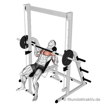 Brusttraining Maschine schräg: Multipresse im kontrollierten Bewegungsablauf sorgt für das gezielte Training gegen Männerbrüste.