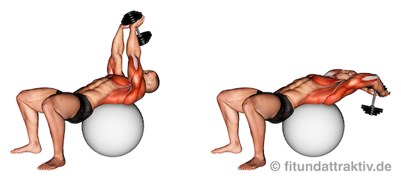 Brusttraining Überzüge ab 50 mit Kurzhantel auf dem Gymnastikball zeigt Start- und Endposition.