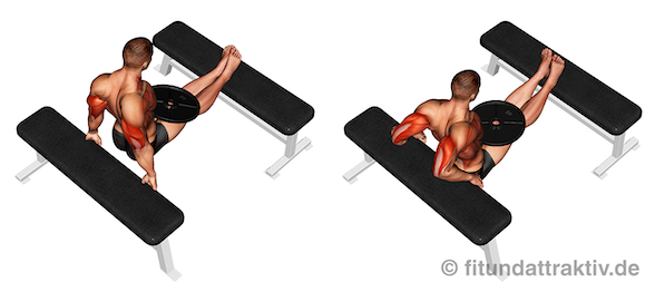 Dips trainieren ab 40: Arnold Dips mit einer Hantelscheibe zeigen Start- und Endposition.