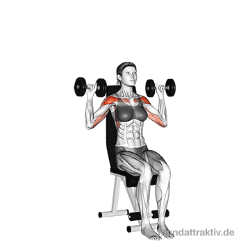 Schulter Übungen Frauen: Im fließenden Rhythmus als ultimative Grundübung für den Muskelaufbau sorgt für eine athletische Härte.