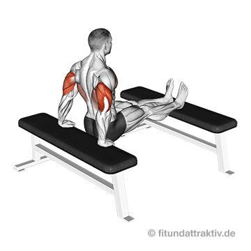 Trizeps Dips für zuhause: Das gleichmäßige Absenken und Hochdrücken an der Bankkante ohne Schwung für das hocheffektive Home-Gym-Training.