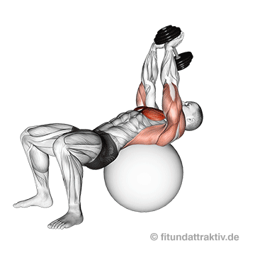 Überzüge mit Kurzhantel ab 40 auf dem Gymnastikball im kontrollierten Bewegungsablauf.
