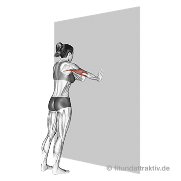 Arme straffen Frauen Übungen enge Wandliegestütze: Eine fließende Animation der kontrollierten Auf- und Abwärtsbewegung aus der Kraft der Armstrecker zur effektiven Straffung des hinteren Oberarms.